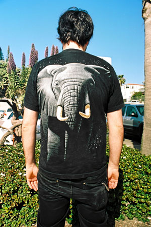"Elephant"